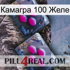 Камагра 100 Желе 01